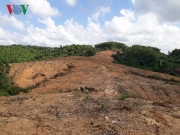 D&acirc;n ở Quảng Trị lấn chiếm đất rừng, ch&iacute;nh quyền b&oacute; tay