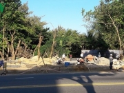 Sửa sai quy hoạch, Đ&agrave; Nẵng mua lại đất để khơi th&ocirc;ng lối xuống biển