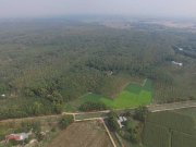 Sagri c&oacute; vi phạm g&igrave; đối với 1.900 ha đất?