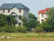 Loạn x&acirc;y dựng biệt phủ, nh&agrave; xưởng ở S&oacute;c Sơn: Hết rừng đến ruộng