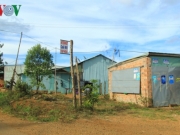 Nh&aacute;o nh&agrave;o dự &aacute;n, đất hoang lấn &aacute;t rau hoa xứ lạnh Măng Đen