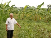 C&ocirc;ng vi&ecirc;n kh&ocirc;ng khả thi, chuyển sang đất ở