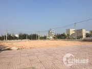 Cuối năm, cảnh gi&aacute;c với chi&ecirc;u tr&ograve; của c&ograve; đất