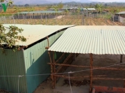 Dự &aacute;n chậm tiến độ: Điều tra c&aacute;n bộ lập phương &aacute;n đền b&ugrave; gi&aacute; tr&ecirc;n trời