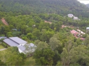 Vi phạm rừng ph&ograve;ng hộ S&oacute;c Sơn: D&acirc;n ở trước, rừng c&oacute; sau?