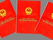 B&igrave;nh Thuận y&ecirc;u cầu kiểm tra việc cấp giấy đỏ cho người thu&ecirc;