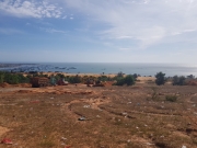 Cận cảnh c&ocirc;ng trường dự &aacute;n biệt thự biển 5 sao g&acirc;y sốt tại Phan Thiết