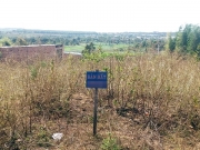 Nhiều c&aacute;n bộ ở Gia Lai tiếp tay ph&acirc;n l&ocirc; b&aacute;n nền tr&aacute;i ph&eacute;p