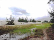 Biến đất c&ocirc;ng th&agrave;nh 'đất tư' của nhiều l&atilde;nh đạo huyện?