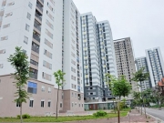 Bất động sản 24h: Năm 2019, l&atilde;i suất cho vay nh&agrave; ở x&atilde; hội khoảng 3%/năm