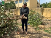 Gia Lai: Ch&iacute;nh quyền x&atilde; cưỡng chế kiểu &ldquo;x&atilde; hội đen&rdquo;