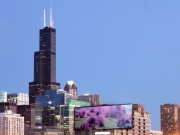 Phụ nữ độc th&acirc;n sở hữu nhiều nh&agrave; cửa hơn c&aacute;nh m&agrave;y r&acirc;u