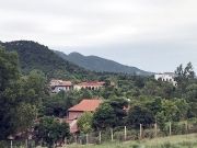 V&igrave; sao chưa c&ocirc;ng bố kết luận thanh tra đất rừng S&oacute;c Sơn?