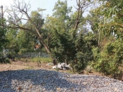 Bất động sản 24h: D&acirc;n bức x&uacute;c v&igrave; t&igrave;nh trạng lấn chiếm đất c&ocirc;ng