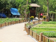 Khu nghỉ dưỡng 'chui' trong rừng ph&ograve;ng hộ