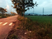 C&ograve; thổi gi&aacute;, qu&ecirc; ngh&egrave;o chao đảo