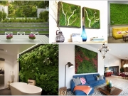 Căn nhà thêm sức sống với bức tường rêu xanh mướt