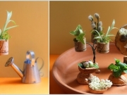 Thiết kế khu vườn mini siêu dễ thương để bàn